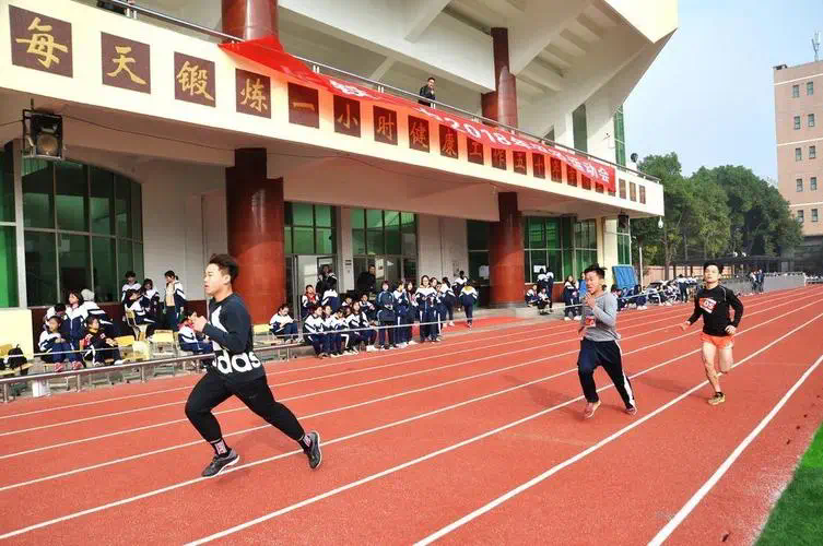 网球拍大学生一套